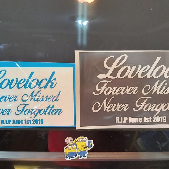 Custom vynal car decals any design - Picture 7 of 15